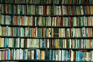 Photo of book shelves with colored spines.